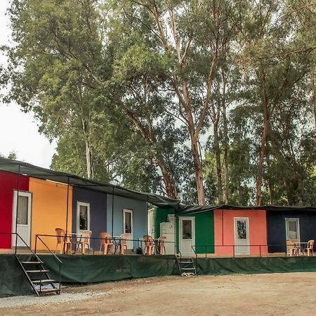 Patara Woody Hostel & Camping Eksteriør bilde